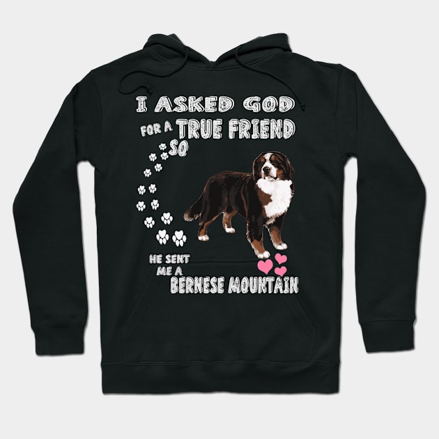 Cattle Dog Berner Sennenhund Bernese Mountain Hoodie by SnugFarm